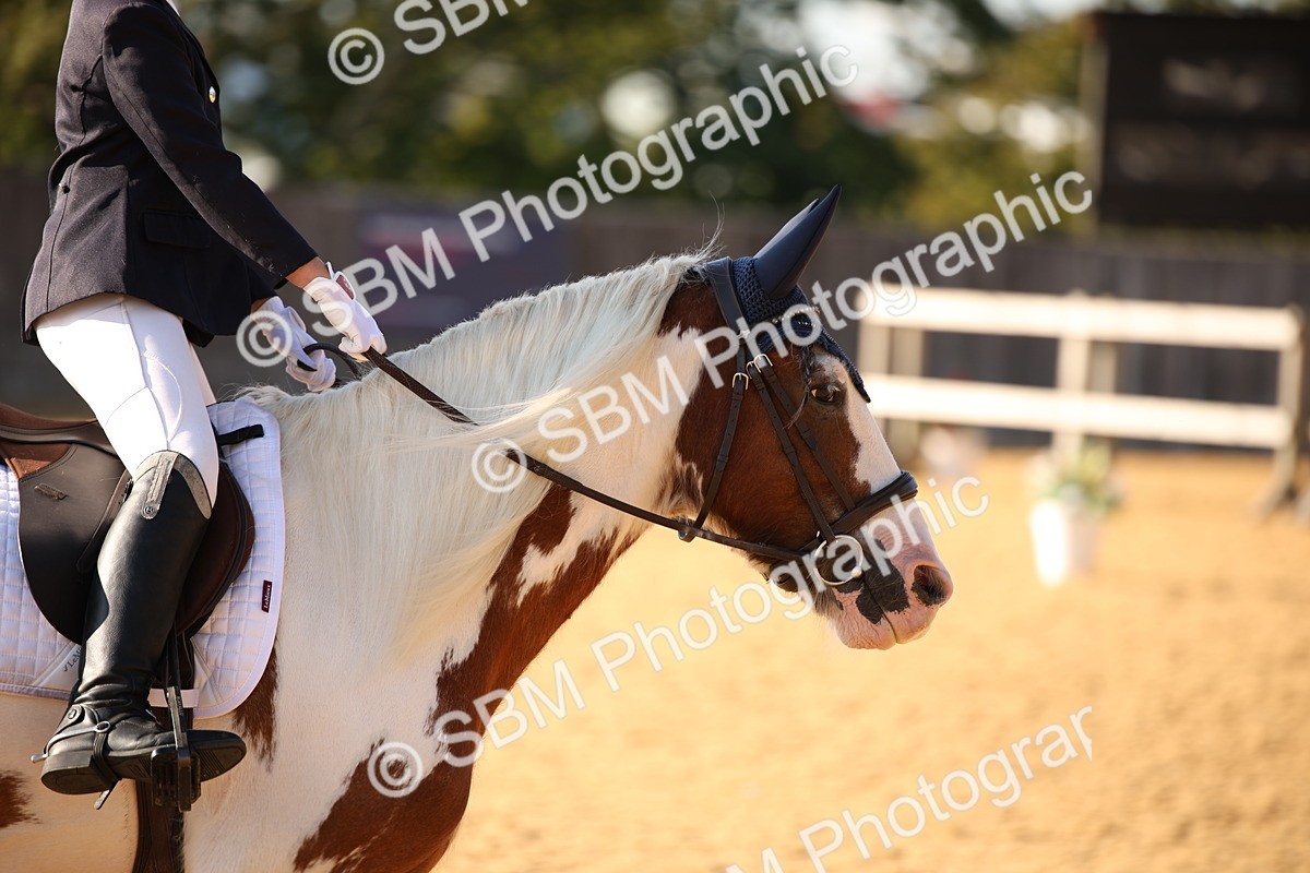 SBM_28331 - D11 - Small Tour Championship - Prelim 13