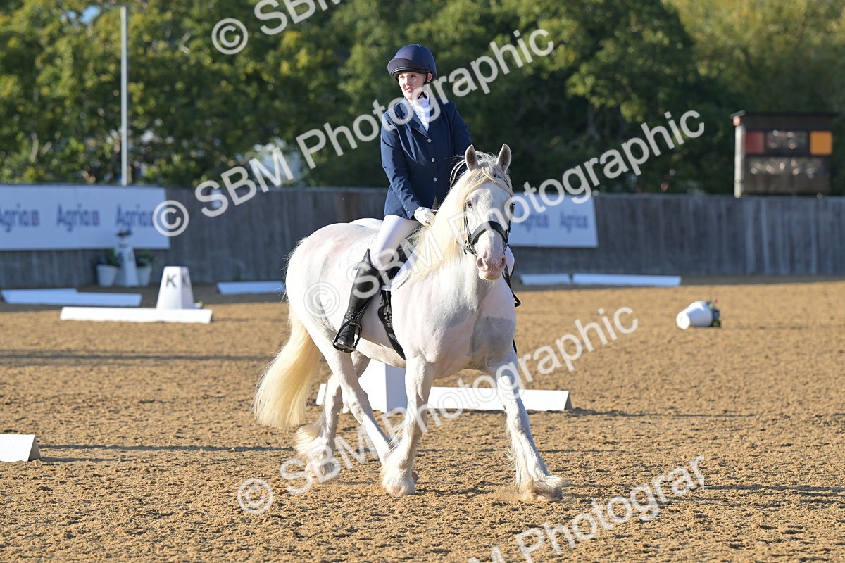 SBM_13176 - D3 - Small Tour Championship Intro 3