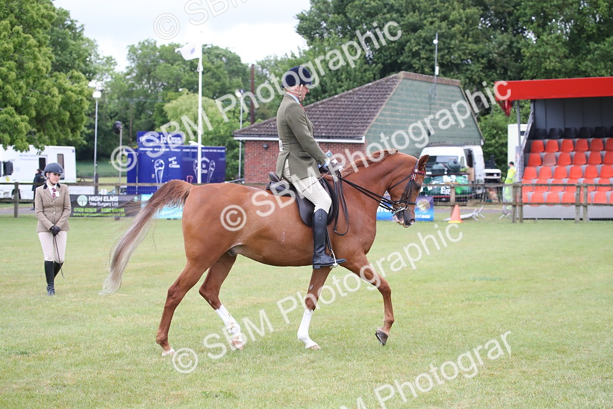 SBM_03625 - Class 21 - 22 - Ridden Arab and Part Bred/Anglo Arab