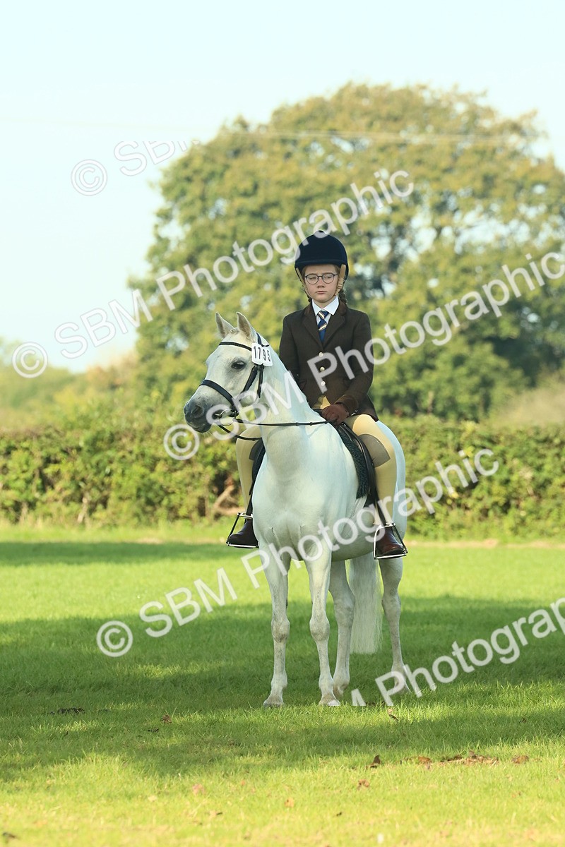 SBM_59189 - S38 - Starters Ridden Showing
