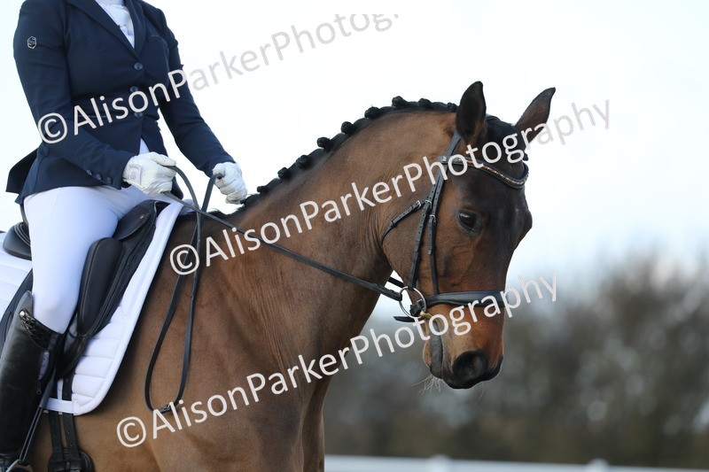 20260314-4933 - CT6 - Elementary 1