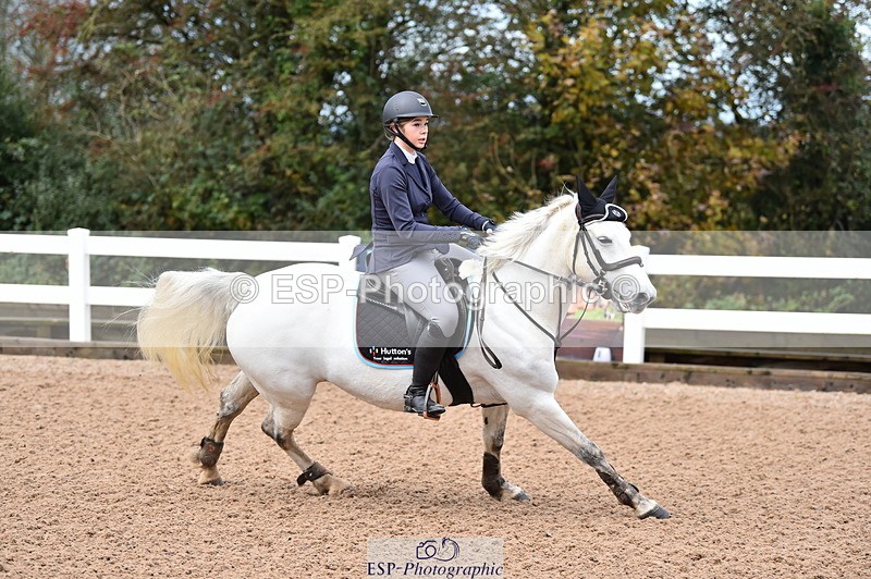 231029A-102914-02300 - 70cm Pony Intro