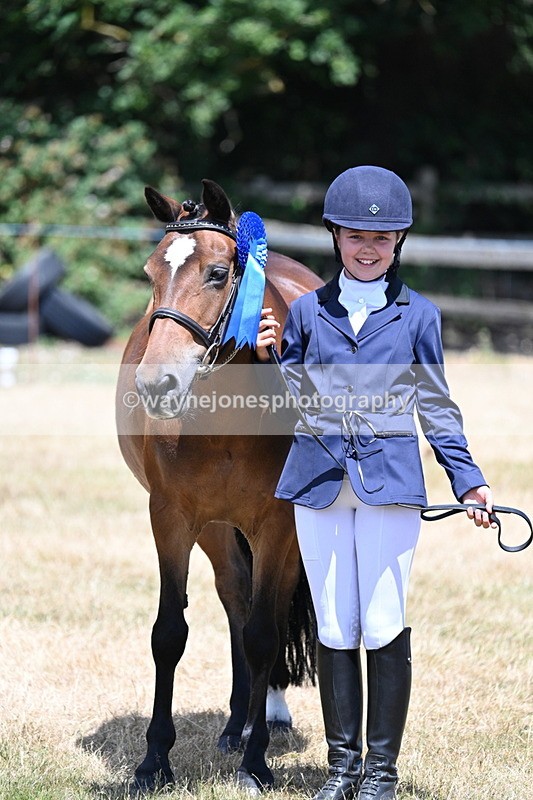 WJ7_2249 - Class 5 Most Handsome Gelding (up to 14.2hh) in hand