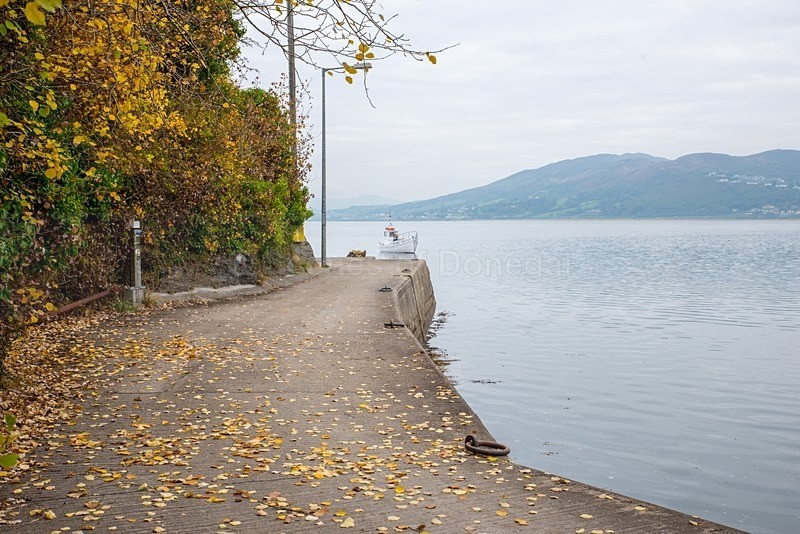 _DSC6893 - South Inishowen