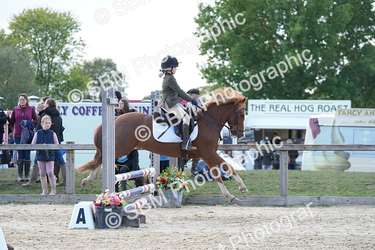 SBM_46739 - J7 - Junior Pony 60cm Championship