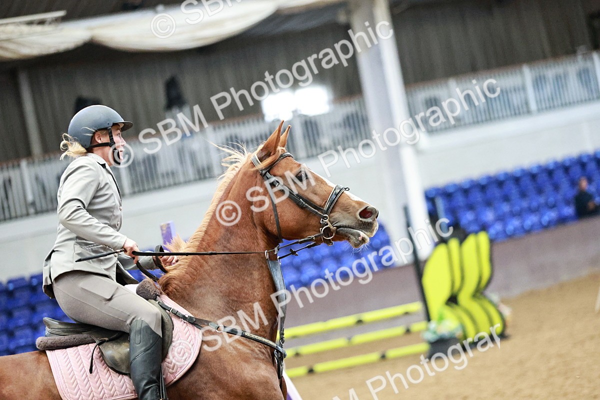 SBM_000089 - Class 1 - Clear Round Show Jumping 80cm