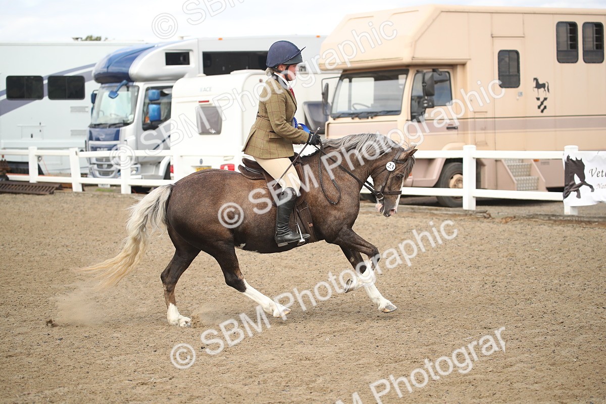 SBM_15193 - Class 505b - M&M Working Veteran - 50cm (20+)