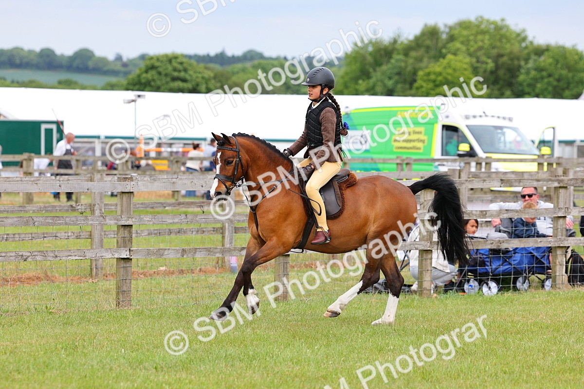 SBM_09554 - Class 44-45 - LIHS BSPS Open Nursery and Cradle Stakes