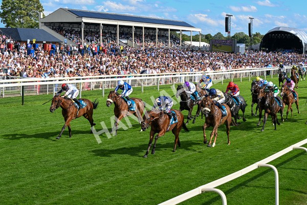 280625-Race 6-Dream Out Loud-0559 - Race 6 4.50pm Al Basti Equiworld Dubai Sprint Handicap