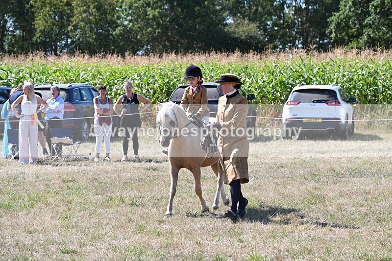 WJ6_8067 - Class 36 Lead Rein