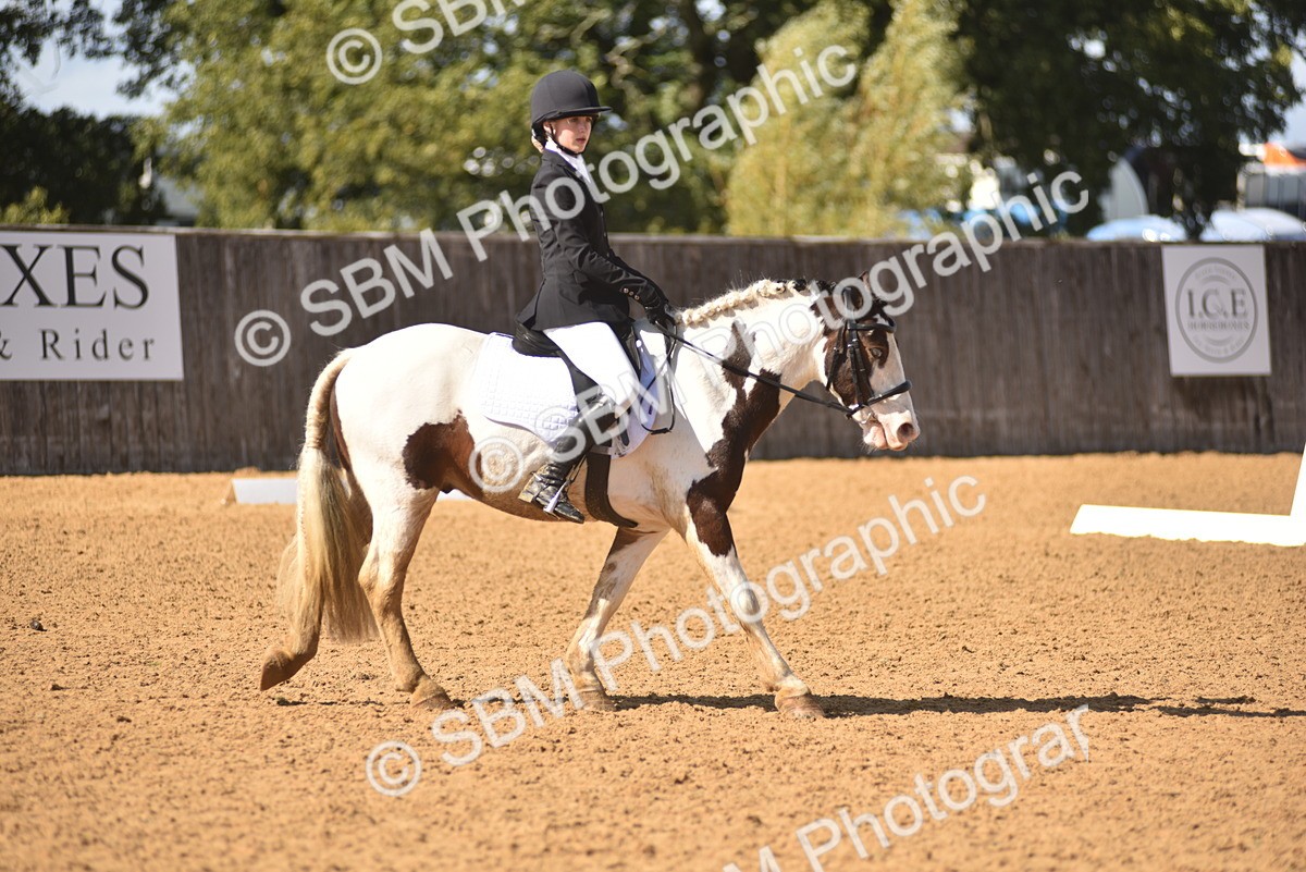 SBM_48687 - D22 - Junior Championship Intro 3