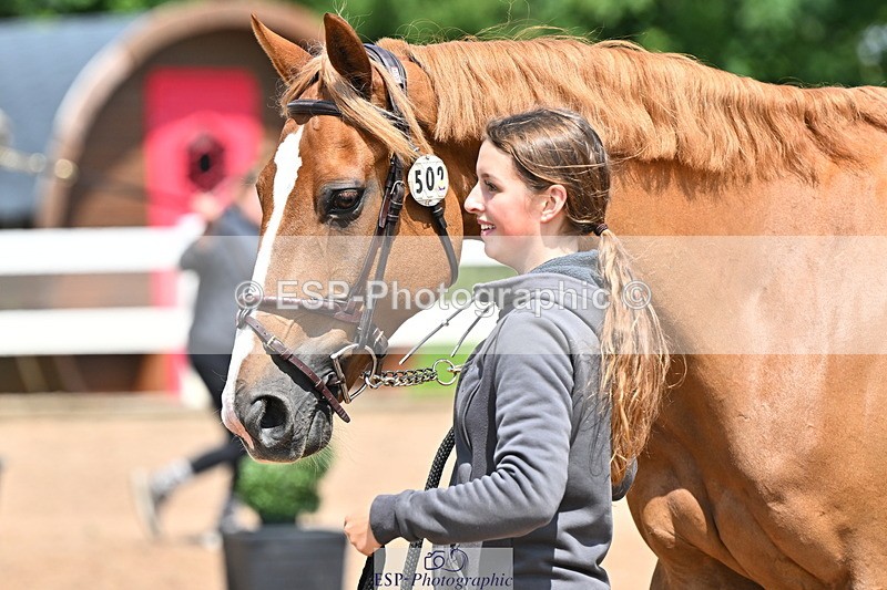 240718A-105315-01757 - Trot Up 1pm to 2pm