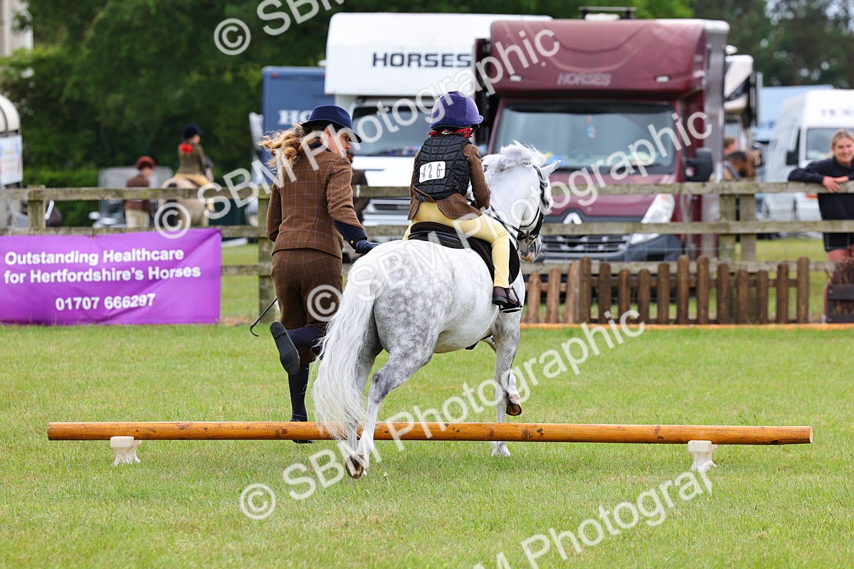 SBM_08249 - Class 42-43 - LIHS BSPS Heritage Working Sports Pony