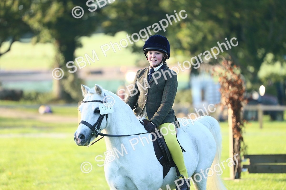 SBM_37159 - S29 - Novice & Newcomers Working Hunter Pony