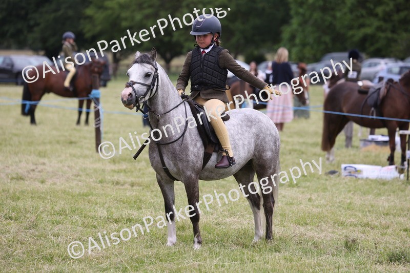 20260614-3151 - Class 22 - Open Working Hunter