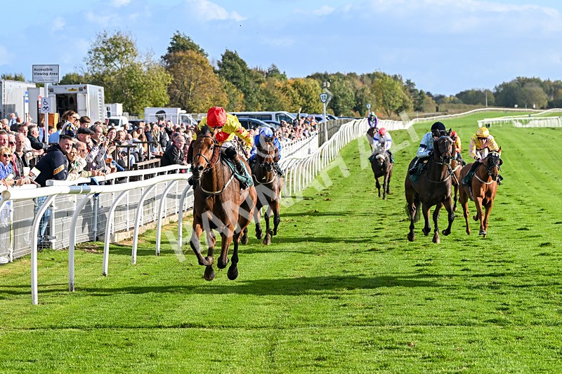 191024-Race 5-Vince Le Prince-4475 - Race 5