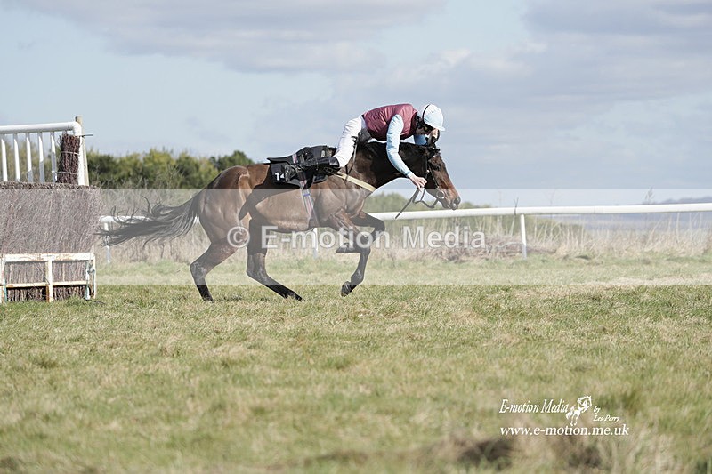 PtP 260223 476 - South & West Wilts Point-to-Point Larkhill 26/02/23