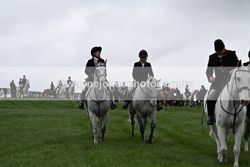 WJ7_8750 - Meet Staff & Hounds