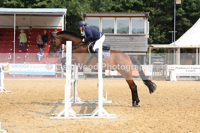 3E7A1631 - Class 4: Senior British Novice/90cm open