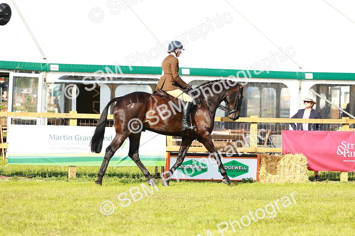 SBM_10873 - Class 66-69 - RIHS Ridden Hunters Inc Small Hunter