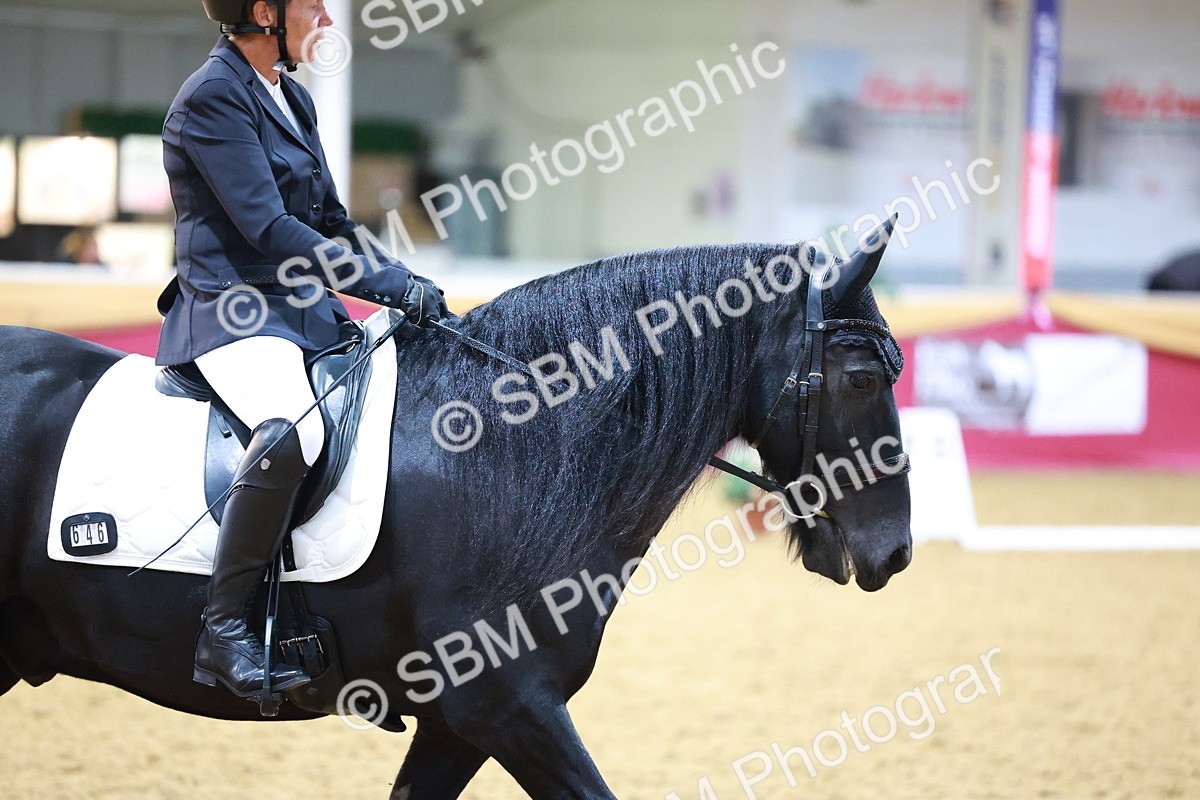 SBM_06590 - Class 61 - Dressage to Music