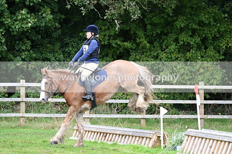WJ7_7706 - 40cm Time 10:49 to 11:18