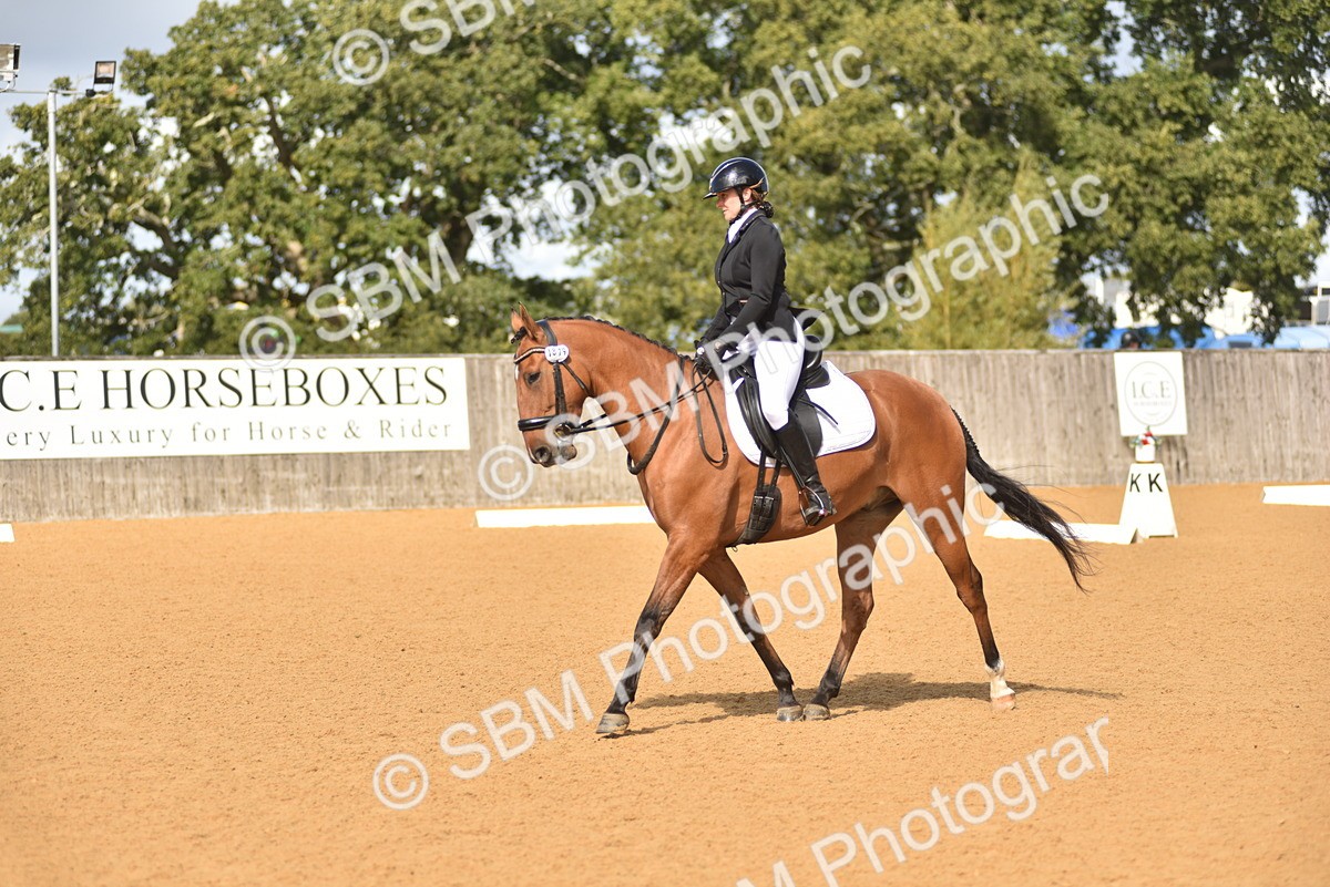 SBM_03304 - D4 - Small Tour Championship Intro 4