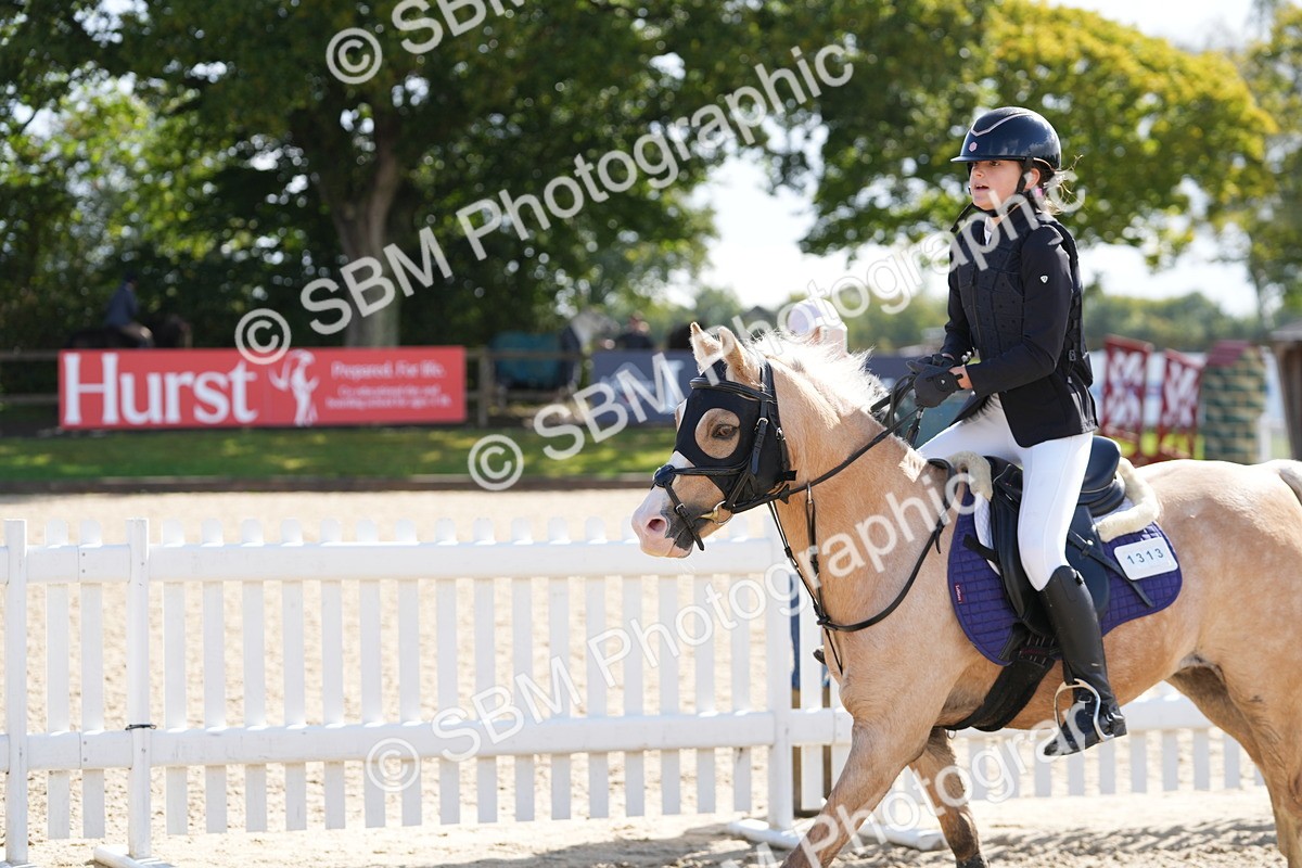 SBM_38496 - J6 - Junior Pony 55cm Championship