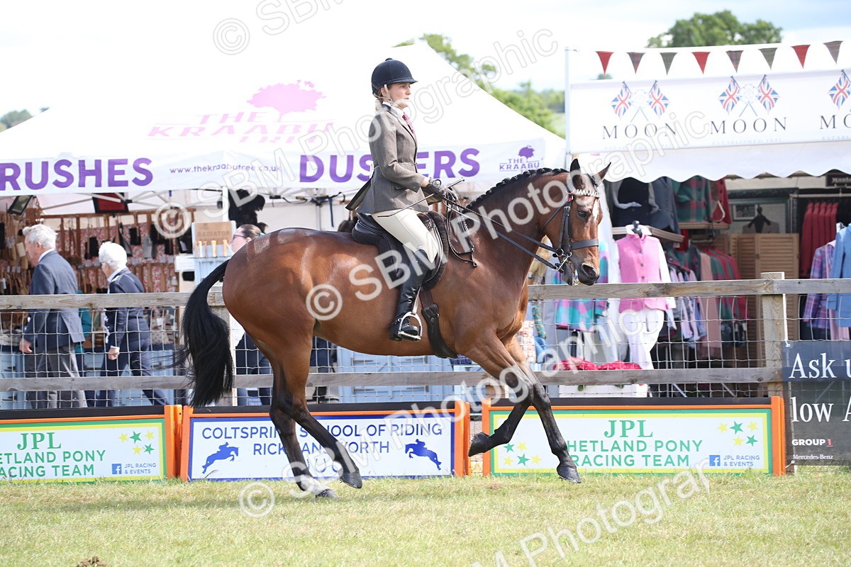 SBM_13319 - Class 95-96 - LIHS BSHA Rising Star Hack Riding Horse