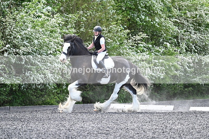 WJ7_8462 - Time 11:11 to 11:29