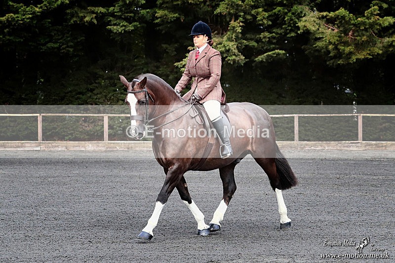 BSHA 030526 76a - Equestrian