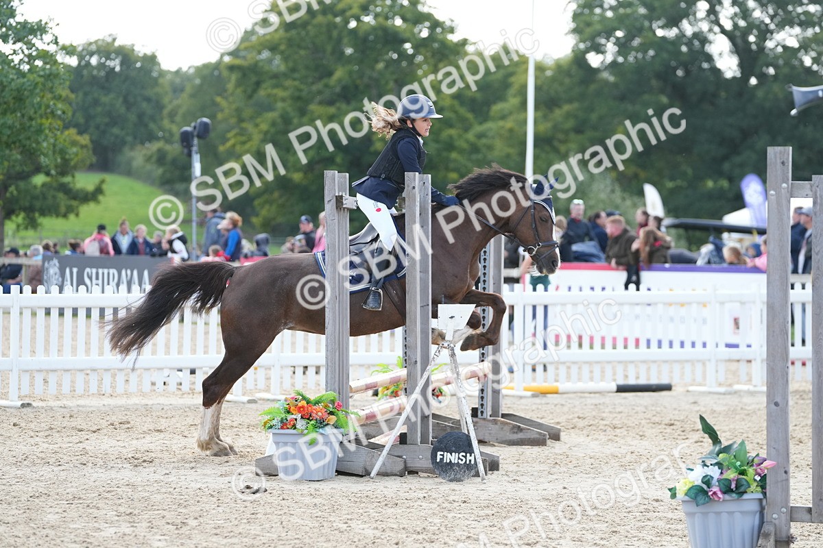 SBM_46813 - J7 - Junior Pony 60cm Championship