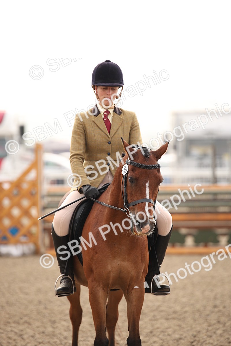 SBM_09778 - Class 401 Riding Club Pony