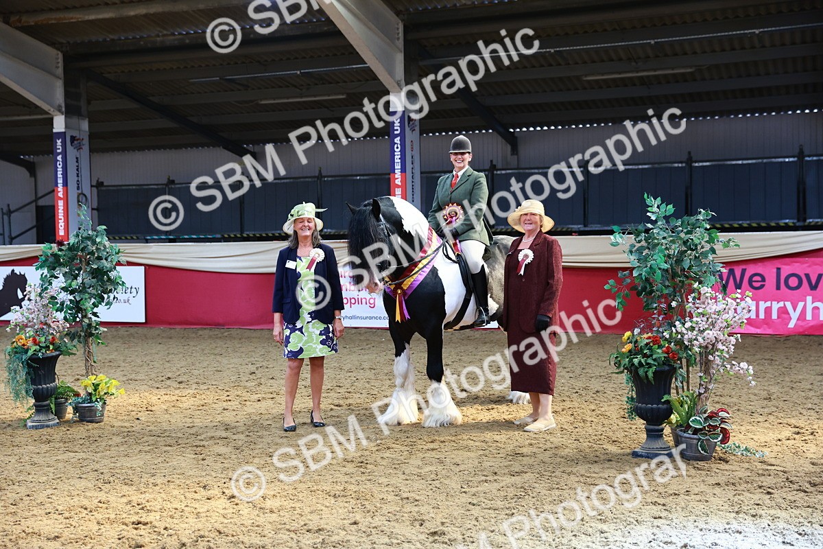 SBM_12777 - HOYS Veteran Qualifier - Ridden Champ