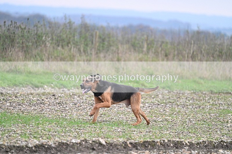 WJ7_0197 - Camera 1 & Last fence
