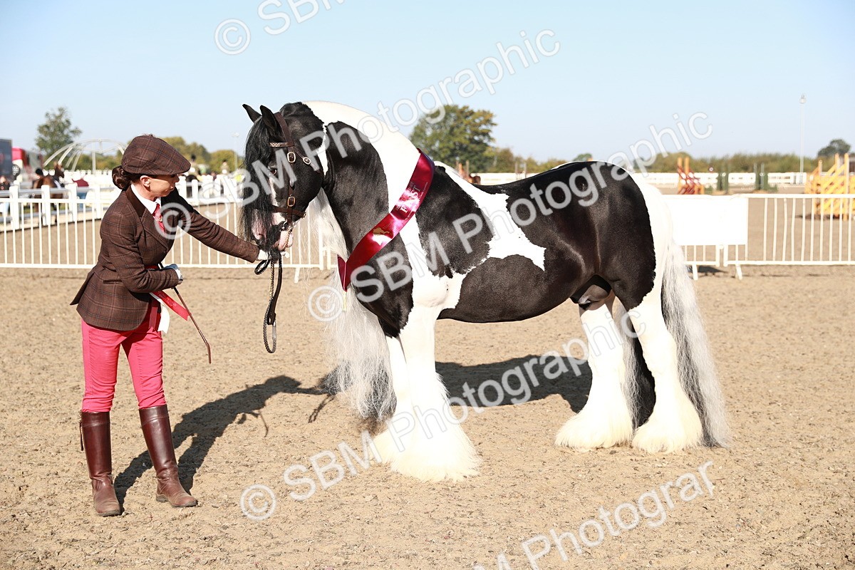 SBM_00088 - Class 40 Best Turned Out IH