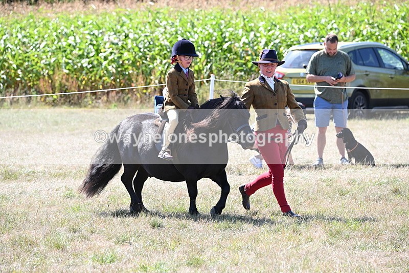 WJ6_8089 - Class 36 Lead Rein