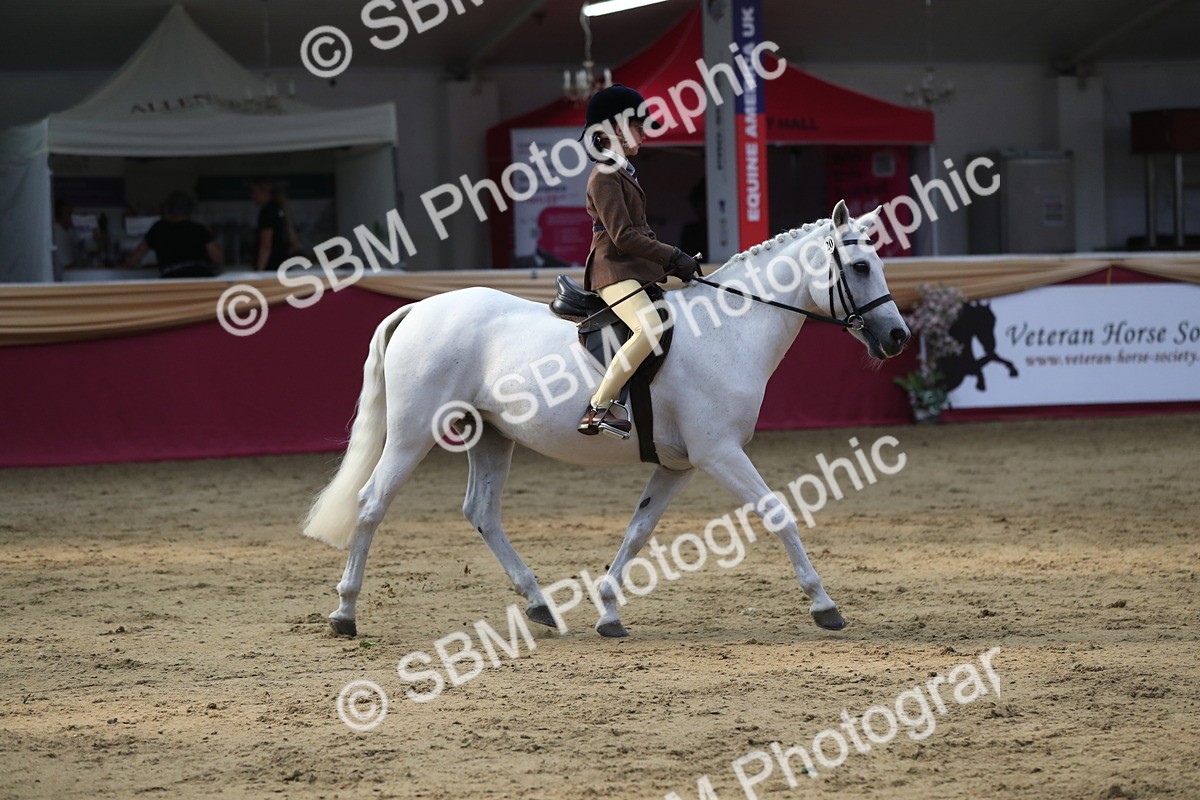 SBM_08400 - Class 11R Regional Ridden Veteran
