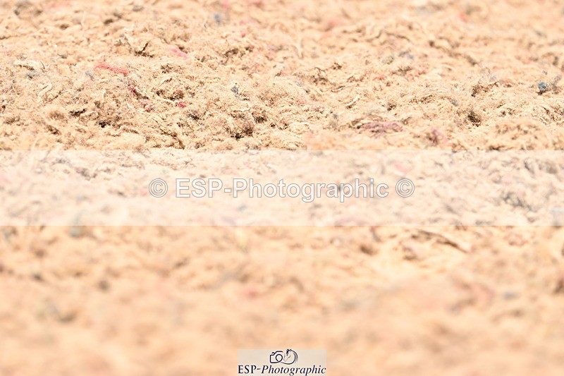 240621A-124625-02239 - Cls 7 BD Elementary 45