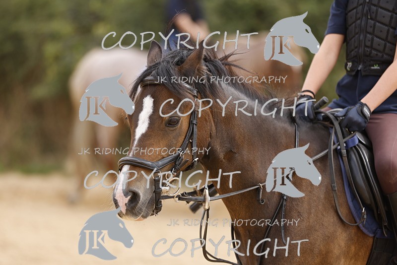 _R6A0921 - Sand arena