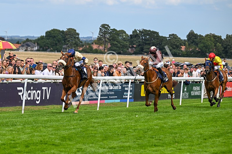 300826-Race 3-Pivotal Voyage-0171 - Race 3 2.50pm Churchill Tyres EBF Restricted Maiden Fillies' Stakes