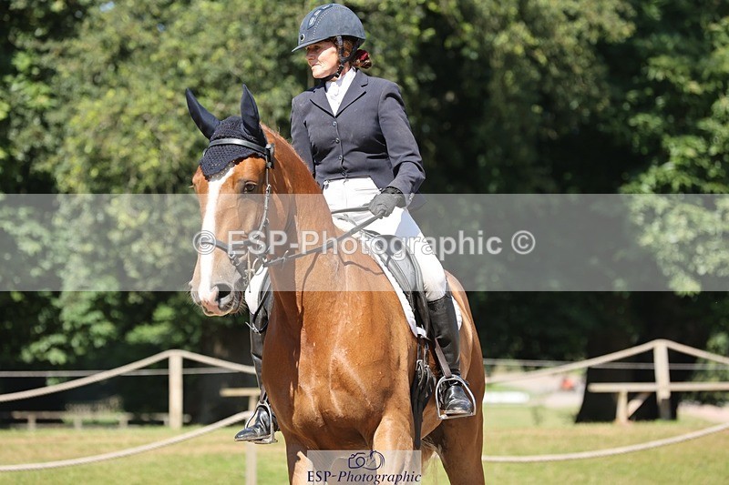 240719-103910-00757 - 223-Deborah_Randall-Sandy's_Bertie