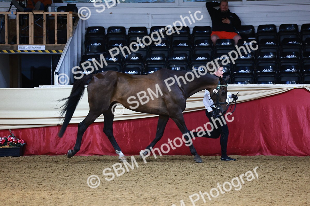 SBM_22293 - Class 902 - Supreme Final - IH Diamond