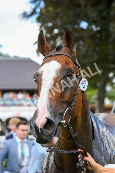 260823-Race 1-Spirit Dancer-0163 - Race 1 Sky Bet And Symphony Group Strensall Stakes