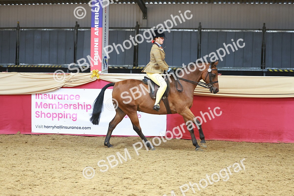 SBM_12458 - Class 103 - HOYS Veteran Qualifier - Ridden Pre Vet