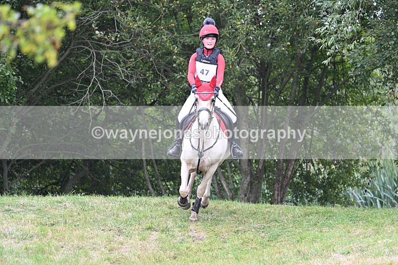 WJ7_8370 - 80cm XC Time 15:45 to 16:02