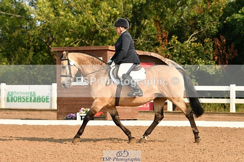 250817-092251-06892 - 082-Sarah.DavisWinston.Classic.Gold