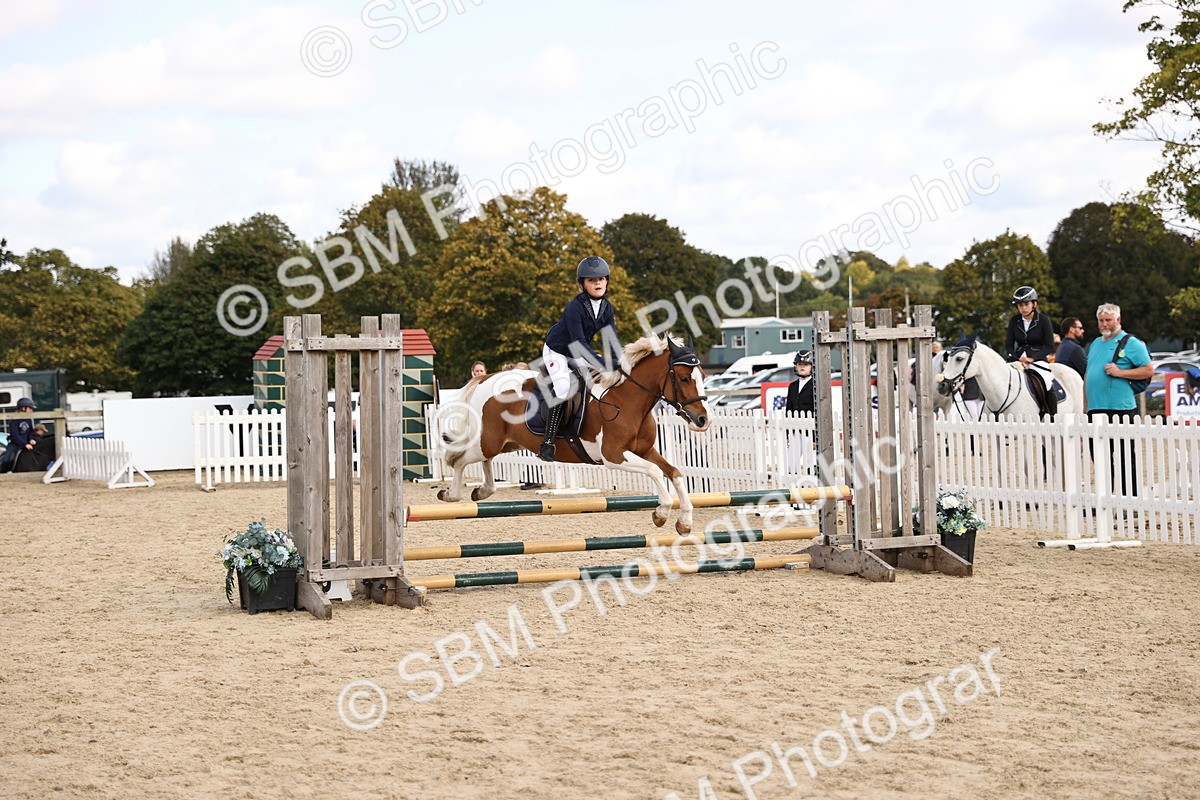SBM_62145 - J12 - Junior Pony 55cm Championship