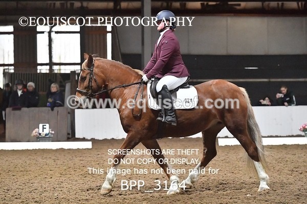 BPP_3164 - INTRO TEST 3