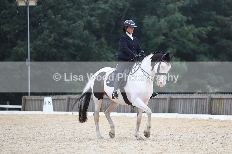 3E7A7395 - Class 9: Elementary 4 2024 - No sections